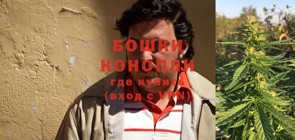 ПСИЛОЦИБИНОВЫЕ ГРИБЫ Балабаново