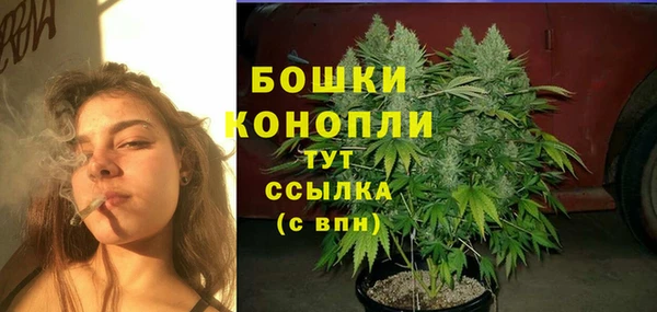 ПСИЛОЦИБИНОВЫЕ ГРИБЫ Балабаново
