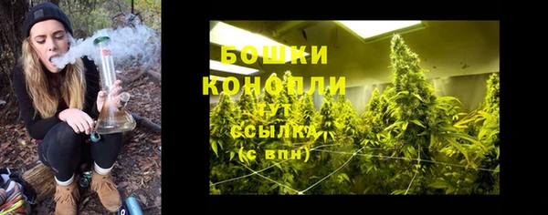 ПСИЛОЦИБИНОВЫЕ ГРИБЫ Балабаново