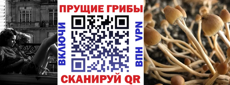 хочу наркоту  Верхнеуральск  Псилоцибиновые грибы прущие грибы 